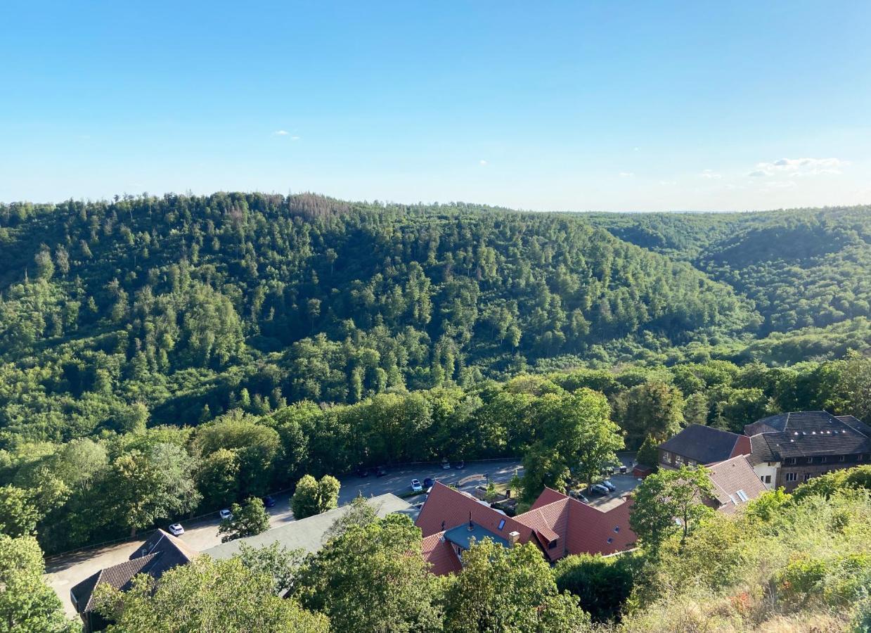 Burghof Kyffhaeuser Bad Frankenhausen Exterior foto