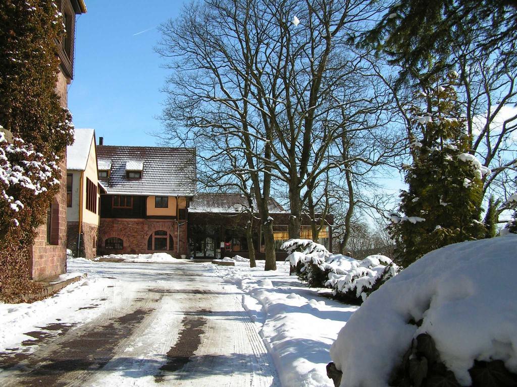 Burghof Kyffhaeuser Bad Frankenhausen Exterior foto